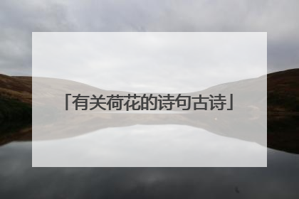 有关荷花的诗句古诗