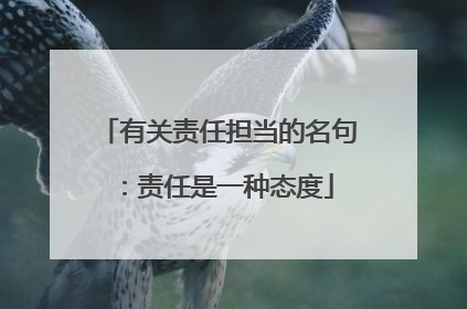 有关责任担当的名句：责任是一种态度