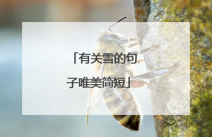 有关雪的句子唯美简短