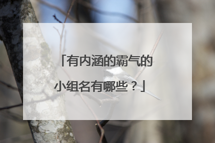 有内涵的霸气的小组名有哪些?
