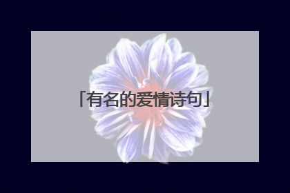 有名的爱情诗句