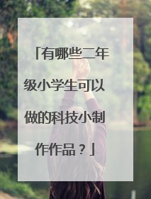 有哪些二年级小学生可以做的科技小制作作品?