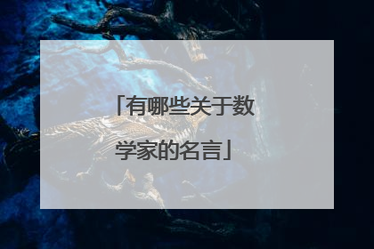 有哪些关于数学家的名言