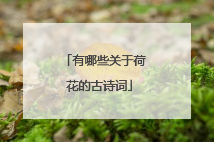 有哪些关于荷花的古诗词