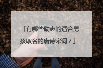 有哪些励志的适合男孩取名的唐诗宋词?