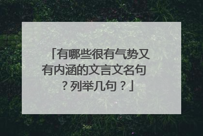 有哪些很有气势又有内涵的文言文名句？列举几句？