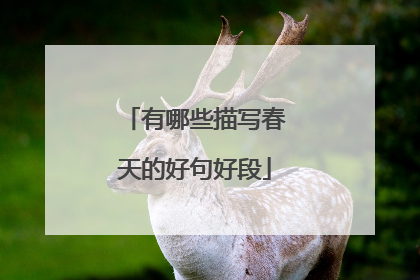 有哪些描写春天的好句好段
