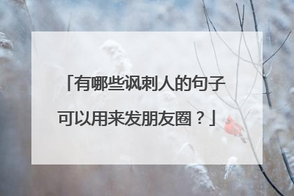 有哪些讽刺人的句子可以用来发朋友圈?