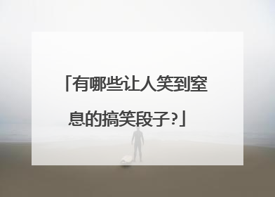 有哪些让人笑到窒息的搞笑段子?
