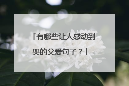 有哪些让人感动到哭的父爱句子?