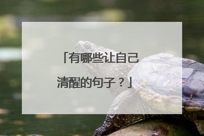 有哪些让自己清醒的句子?