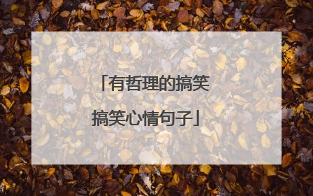 有哲理的搞笑搞笑心情句子