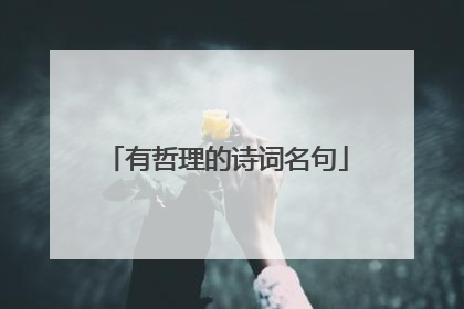 有哲理的诗词名句