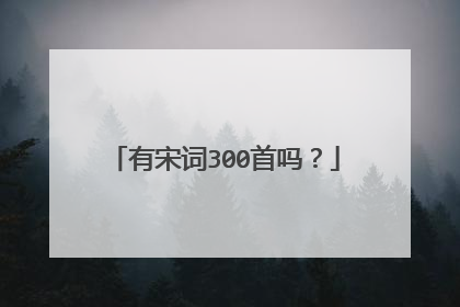 有宋词300首吗？