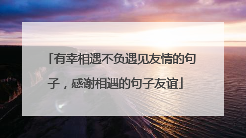 有幸相遇不负遇见友情的句子,感谢相遇的句子友谊