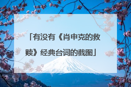 有没有《肖申克的救赎》经典台词的截图