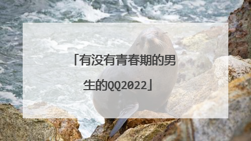 有没有青春期的男生的QQ2022
