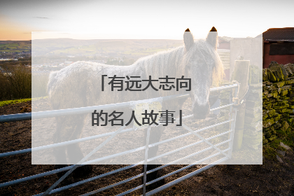 有远大志向的名人故事