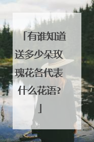 有谁知道送多少朵玫瑰花各代表什么花语?