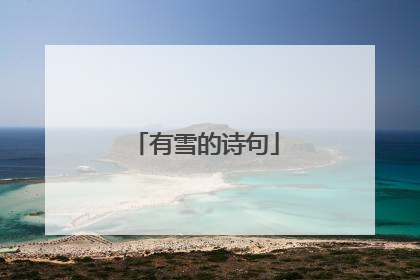 有雪的诗句