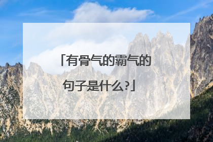 有骨气的霸气的句子是什么?