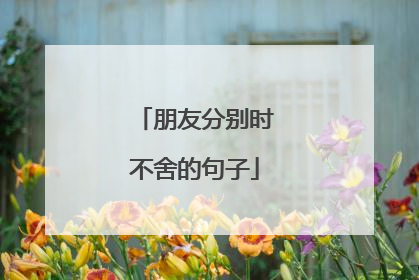 朋友分别时不舍的句子