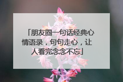 朋友圈一句话经典心情语录，句句走心，让人看完念念不忘