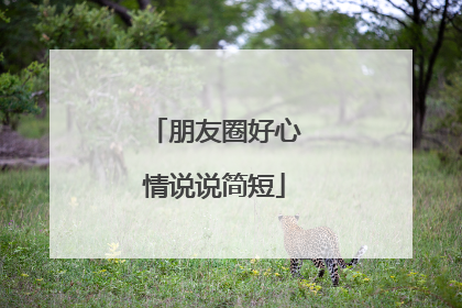 朋友圈好心情说说简短