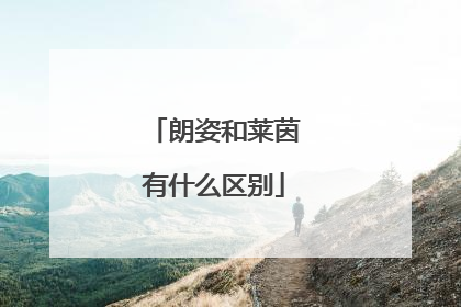 朗姿和莱茵有什么区别