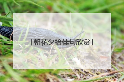 朝花夕拾佳句欣赏