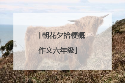 朝花夕拾梗概作文六年级