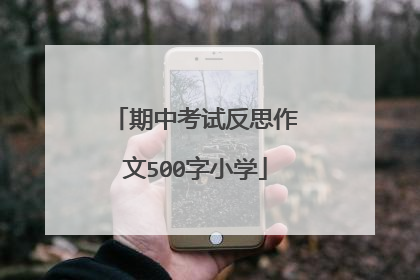 期中考试反思作文500字小学