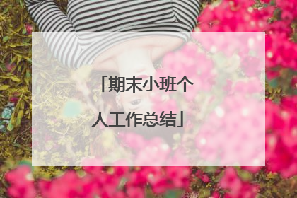 期末小班个人工作总结
