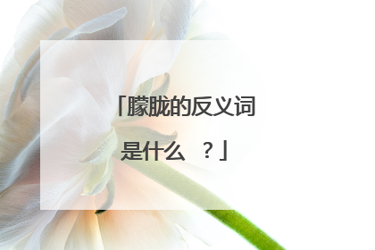 朦胧的反义词是什么 ？