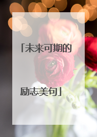 未来可期的励志美句