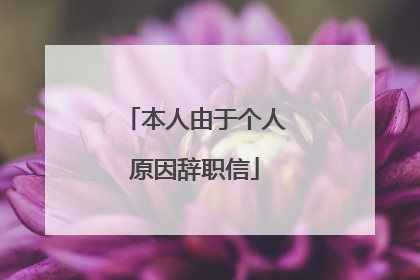 本人由于个人原因辞职信