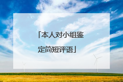本人对小组鉴定简短评语