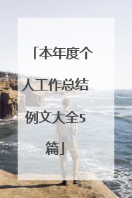 本年度个人工作总结例文大全5篇
