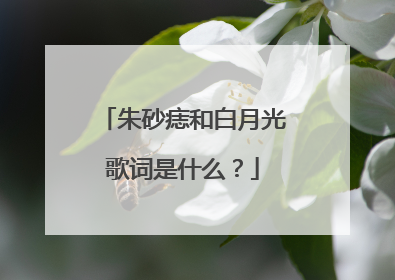 朱砂痣和白月光歌词是什么?