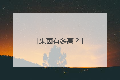朱茵有多高？