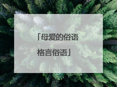 母爱的俗语格言俗语