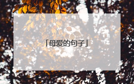 母爱的句子