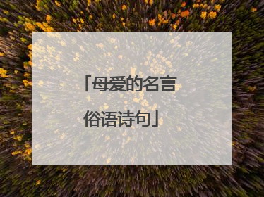 母爱的名言俗语诗句