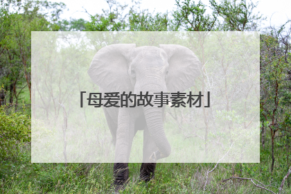 母爱的故事素材