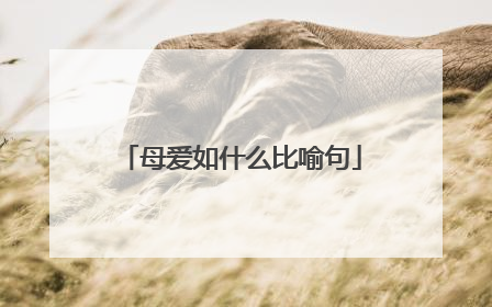 母爱如什么比喻句