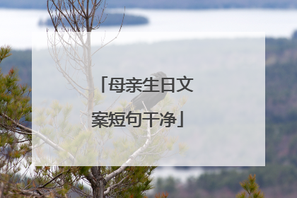 母亲生日文案短句干净