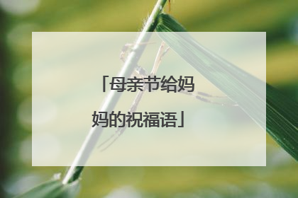 母亲节给妈妈的祝福语