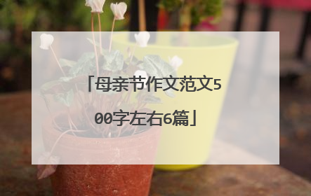 母亲节作文范文500字左右6篇