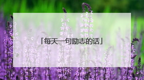 每天一句励志的话