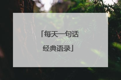 每天一句话 经典语录